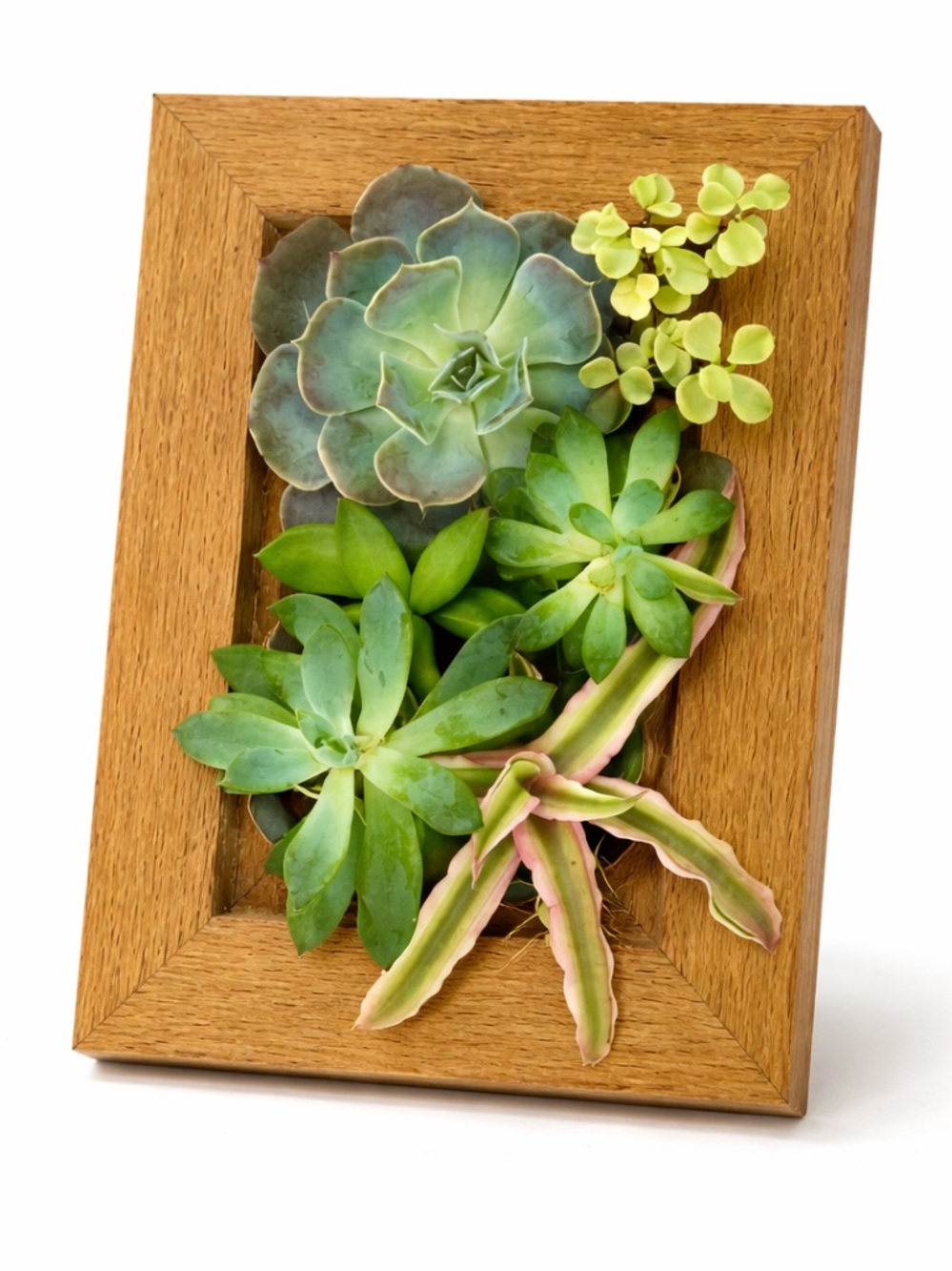 Vertical Planter Kit (4x6) - Portrait Gardens - Picture 3 of 6